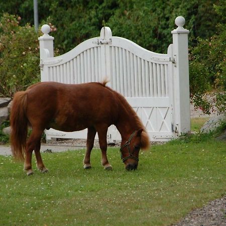 Ostseepferdehof Neukirchen  Kültér fotó